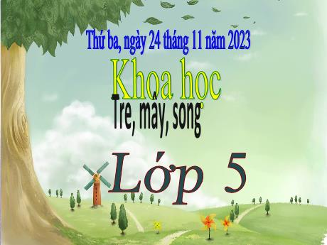 Bài giảng Khoa học 5 - Tuần 12 - Tre, mây, song - Năm học 2023-2024