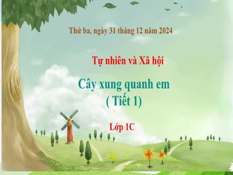 Bài giảng Tự nhiên và Xã hội 1 (Kết nối tri thức) - Bài 15: Cây xung quanh em (Tiết 1) - Năm học 2024-2025