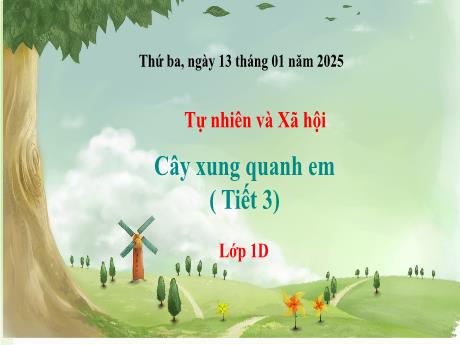 Bài giảng Tự nhiên và Xã hội 1 (Kết nối tri thức) - Tuần 20 - Cây xung quanh em (Tiết 3) - Năm học 2024-2025