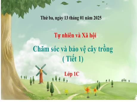 Bài giảng Tự nhiên và Xã hội 1 (Kết nối tri thức) - Tuần 20 - Chăm sóc và bảo vệ cây trồng (Tiết 1) - Năm học 2024-2025
