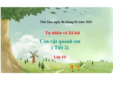 Bài giảng Tự nhiên và Xã hội 1 (Kết nối tri thức) - Tuần 21 - Con vật quanh em (Tiết 2) - Năm học 2024-2025
