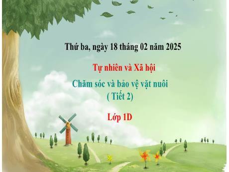Bài giảng Tự nhiên và Xã hội 1 (Kết nối tri thức) - Tuần 23 - Chăm sóc và bảo vệ vật nuôi (Tiết 2) - Năm học 2024-2025