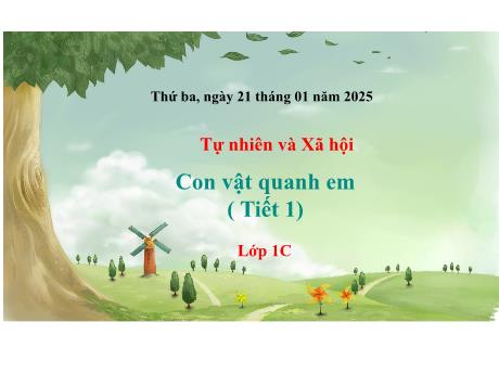 Bài giảng Tự nhiên và Xã hội 1 (Kết nối tri thức) - Tuần 23 - Con vật quanh em (Tiết 1) - Năm học 2024-2025