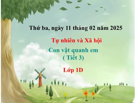 Bài giảng Tự nhiên và Xã hội 1 (Kết nối tri thức) - Tuần 23 - Con vật quanh em (Tiết 3) - Năm học 2024-2025