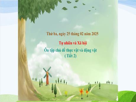 Bài giảng Tự nhiên và Xã hội 1 (Kết nối tri thức) - Tuần 24 - Ôn tập chủ đề thực vật và động vật (Tiết 2) - Năm học 2024-2025