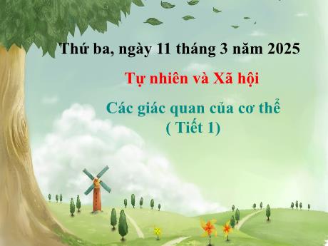 Bài giảng Tự nhiên và Xã hội 1 (Kết nối tri thức) - Tuần 26 - Các giác quan của cơ thể - (Tiết 1) - Năm học 2024-2025