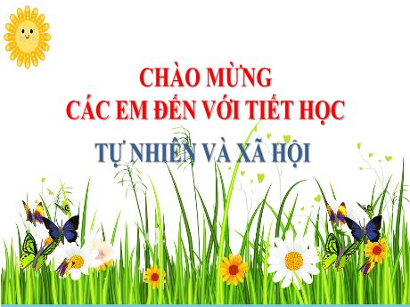 Bài giảng Tự nhiên và Xã hội 2 - Bài 15: Ôn tập chủ đề Cộng đồng địa phương (Tiết 2) - Năm học 2024-2025