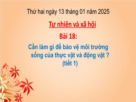 Bài giảng Tự nhiên và Xã hội 2 (Kết nối tri thức) - Bài 18: Cần làm gì để bảo vệ môi trường sống của thực vật và động vật ? (Tiết 1) - Năm học 2024-2025