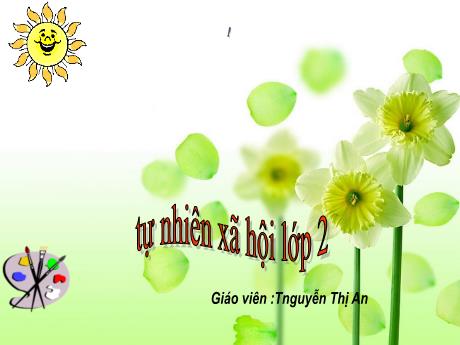 Bài giảng Tự nhiên và Xã hội 2 (Kết nối tri thức) - Bài 5: Ôn tập về chủ đề gia đình - Năm học 2023-2024