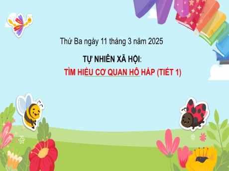 Bài giảng Tự nhiên và Xã hội 2 (Kết nối tri thức) - Tuần 26 - Tìm hiểu cơ quan hô hấp (Tiết 1) - Năm học 2024-2025