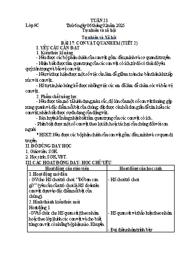 Giáo án Tự nhiên và Xã hội Lớp 5 - Tuần 21 - Năm học 2024-2025